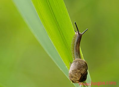 关于生命的美文，生命是一幅美丽的画卷