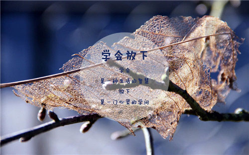 唯美文字控短句图片，学会放下