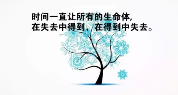 经典图片人生感悟